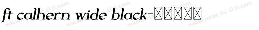 ft calhern wide black字体转换